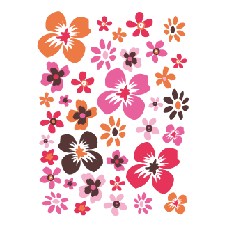 coloured flowers